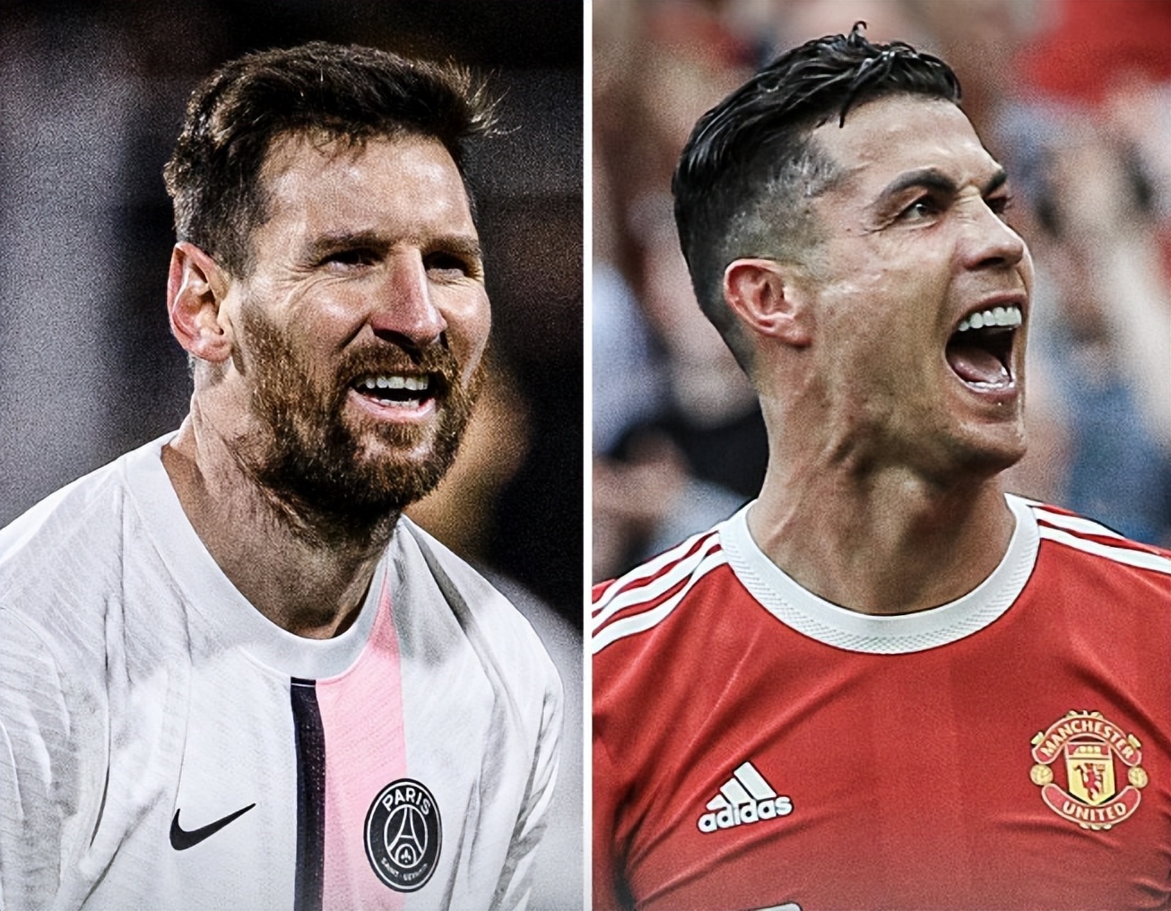 从逆境中崛 从逆境中崛