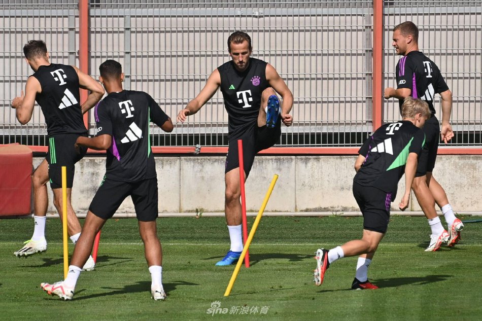 级强队的实 级强队的实